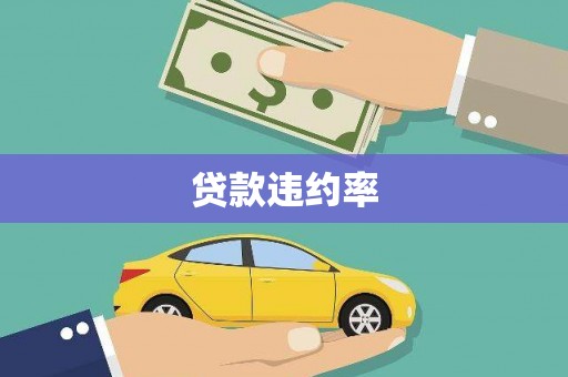 滨州贷款违约率