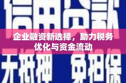 滨州企业融资新选择，助力税务优化与资金流动