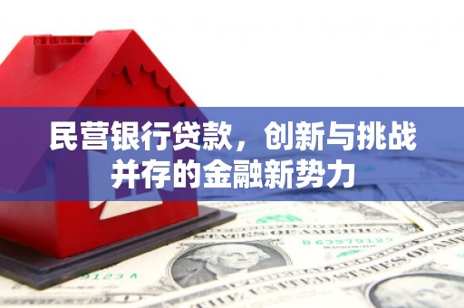 滨州民营银行贷款，创新与挑战并存的金融新势力