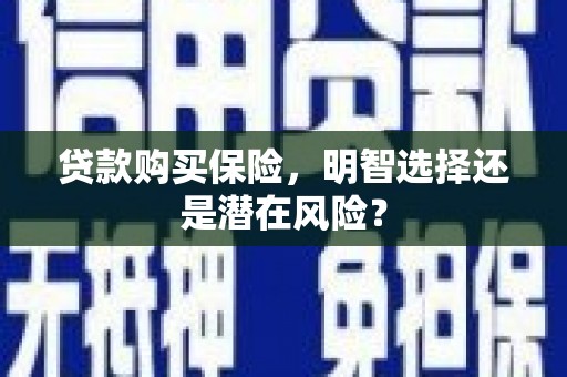 滨州贷款购买保险，明智选择还是潜在风险？