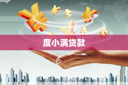 滨州度小满贷款