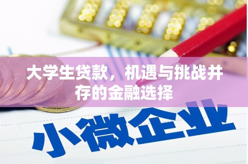 滨州大学生贷款，机遇与挑战并存的金融选择