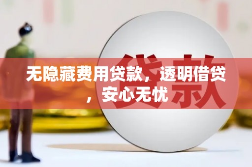 滨州无隐藏费用贷款，透明借贷，安心无忧