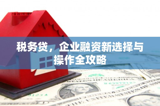 滨州税务贷，企业融资新选择与操作全攻略