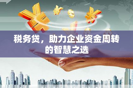滨州税务贷，助力企业资金周转的智慧之选
