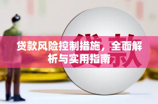 滨州贷款风险控制措施，全面解析与实用指南