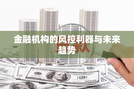 滨州金融机构的风控利器与未来趋势