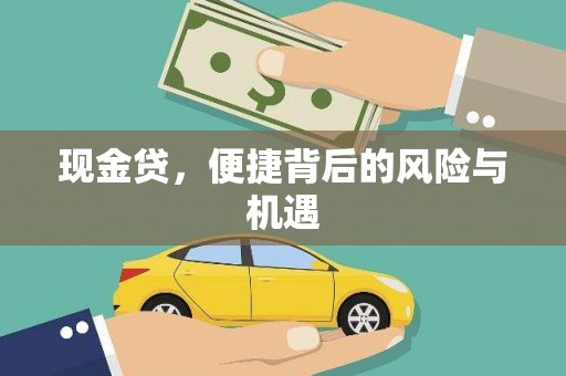 滨州现金贷，便捷背后的风险与机遇