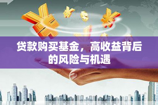 滨州贷款购买基金，高收益背后的风险与机遇