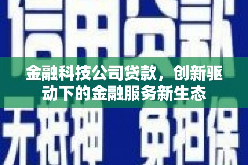 滨州金融科技公司贷款，创新驱动下的金融服务新生态