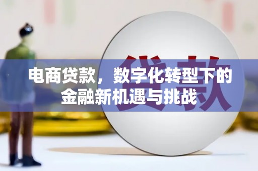 滨州电商贷款，数字化转型下的金融新机遇与挑战