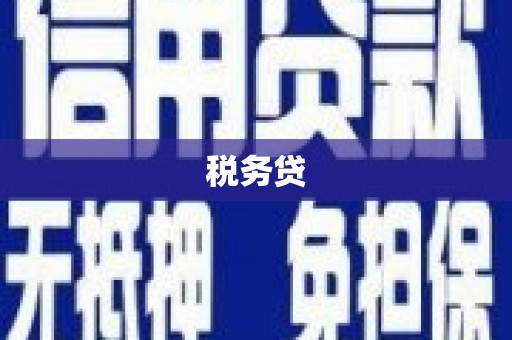 滨州税务贷