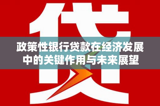 滨州政策性银行贷款在经济发展中的关键作用与未来展望