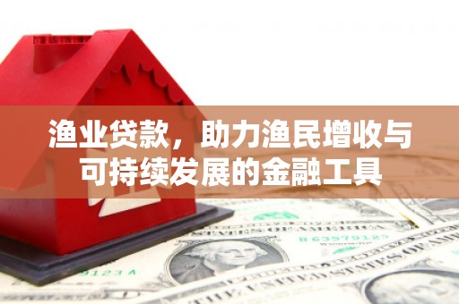 滨州渔业贷款，助力渔民增收与可持续发展的金融工具