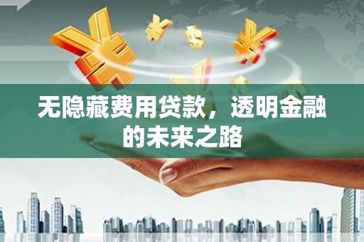 滨州无隐藏费用贷款，透明金融的未来之路