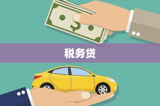 滨州税务贷