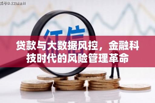 滨州贷款与大数据风控，金融科技时代的风险管理革命