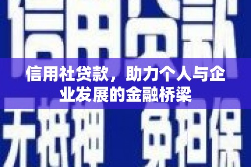 滨州信用社贷款，助力个人与企业发展的金融桥梁