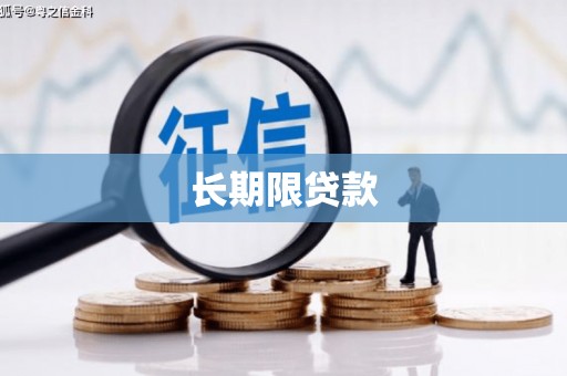 滨州长期限贷款
