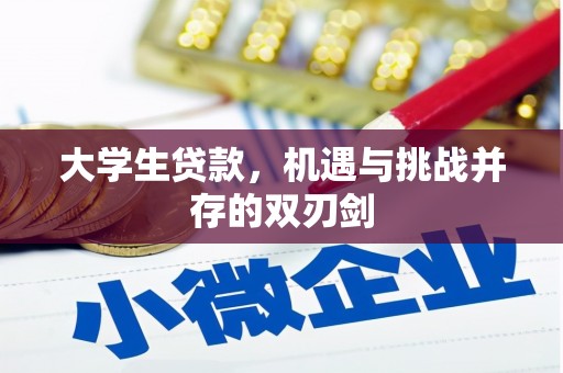 滨州大学生贷款，机遇与挑战并存的双刃剑