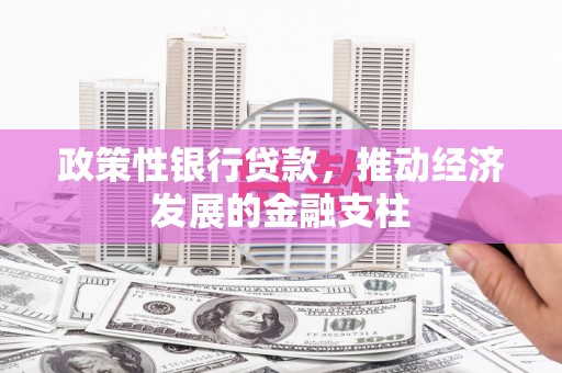 滨州政策性银行贷款，推动经济发展的金融支柱