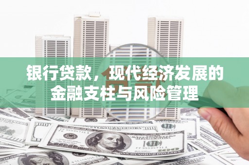 滨州银行贷款，现代经济发展的金融支柱与风险管理