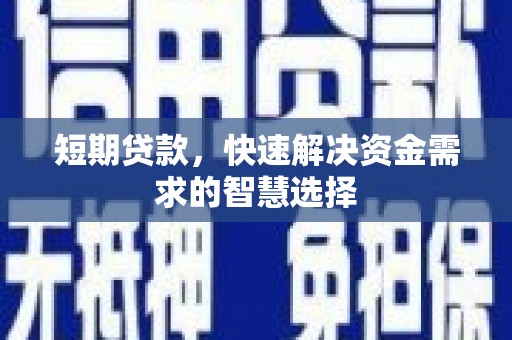 滨州短期贷款，快速解决资金需求的智慧选择