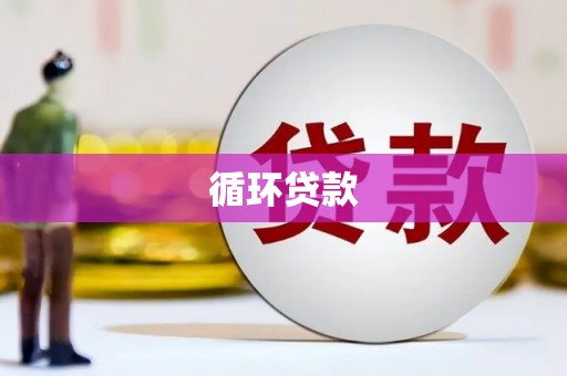 滨州循环贷款