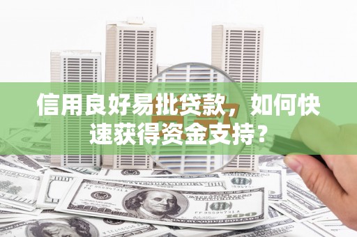 滨州信用良好易批贷款，如何快速获得资金支持？
