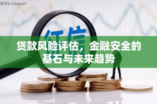滨州贷款风险评估，金融安全的基石与未来趋势
