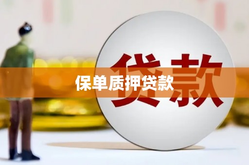滨州保单质押贷款