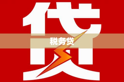 滨州税务贷