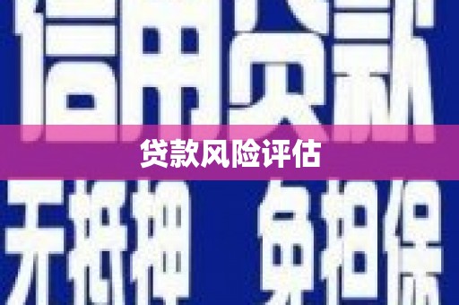 滨州贷款风险评估