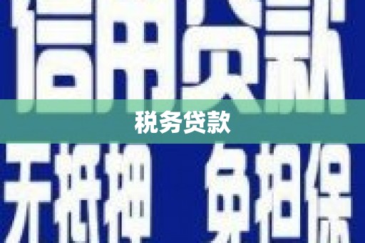滨州税务贷款