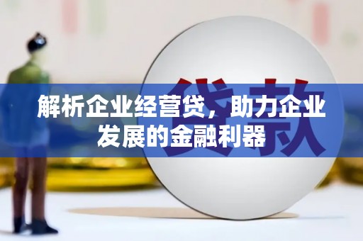 滨州解析企业经营贷，助力企业发展的金融利器