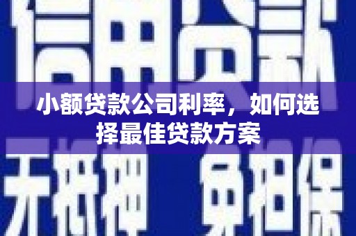 滨州小额贷款公司利率，如何选择最佳贷款方案