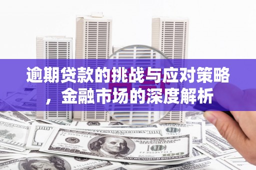 滨州逾期贷款的挑战与应对策略，金融市场的深度解析