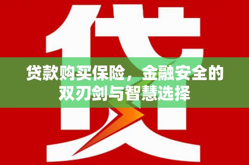 滨州贷款购买保险，金融安全的双刃剑与智慧选择