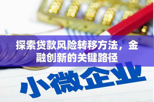 滨州探索贷款风险转移方法，金融创新的关键路径
