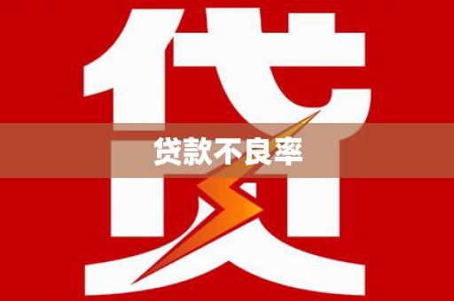 滨州贷款不良率