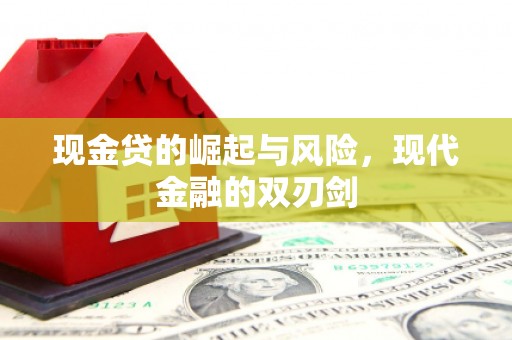 滨州现金贷的崛起与风险，现代金融的双刃剑