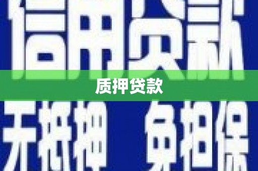 滨州质押贷款