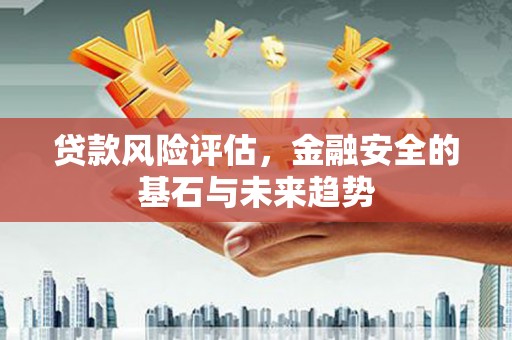 滨州贷款风险评估，金融安全的基石与未来趋势