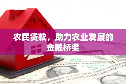 滨州农民贷款，助力农业发展的金融桥梁