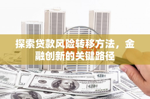 滨州探索贷款风险转移方法，金融创新的关键路径