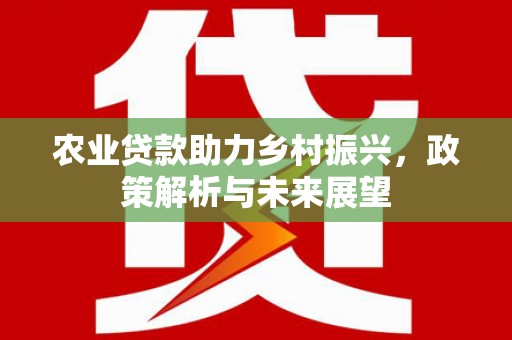 滨州农业贷款助力乡村振兴，政策解析与未来展望