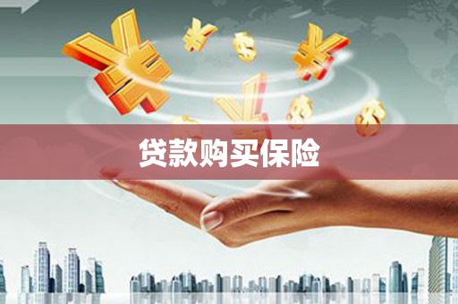 滨州贷款购买保险