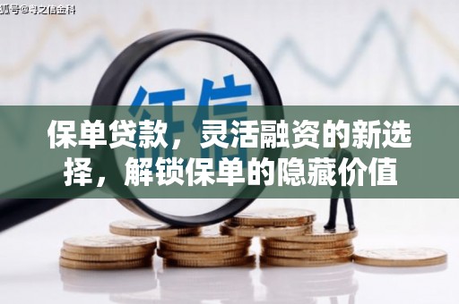 滨州保单贷款，灵活融资的新选择，解锁保单的隐藏价值