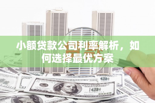 滨州小额贷款公司利率解析，如何选择最优方案