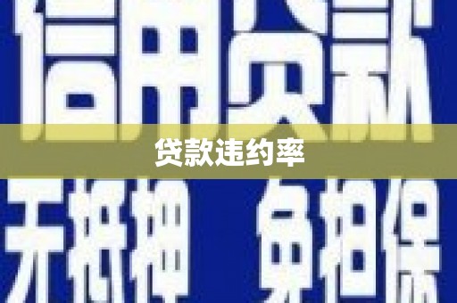 滨州贷款违约率